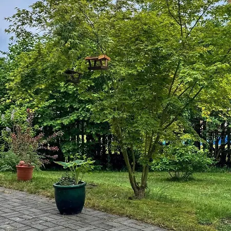 Lejlighed Roswitha Hademstorf